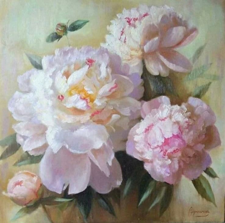 Живопись / Пионы (масло)