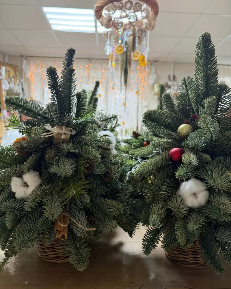 Природные материалы/Ёлочка из хвойников
